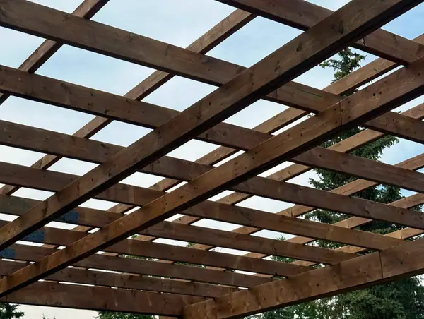 Combo project. Pergola, paving stones – photo 9