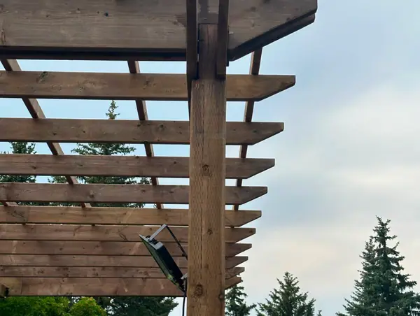 Combo project. Pergola, paving stones – photo 10