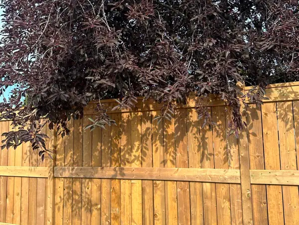 Wood fence, Riverbend – photo 3